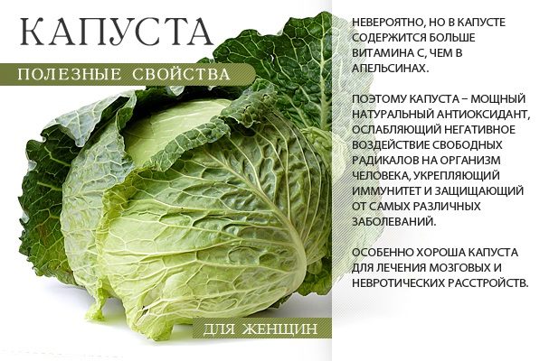 Польза капусты
