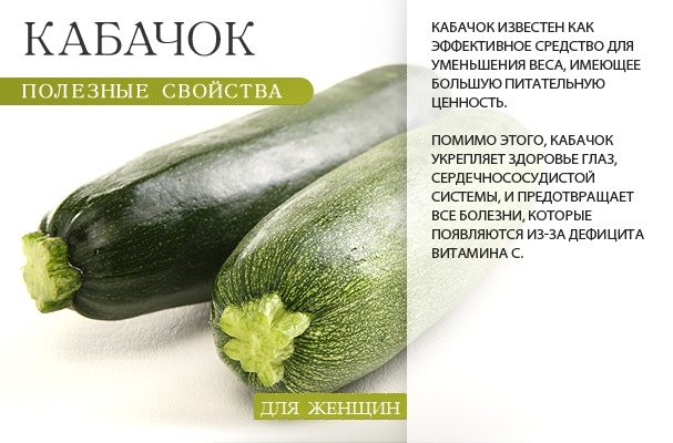 Польза кабачка