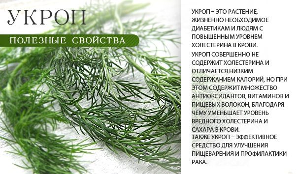 Польза огородной зелени
