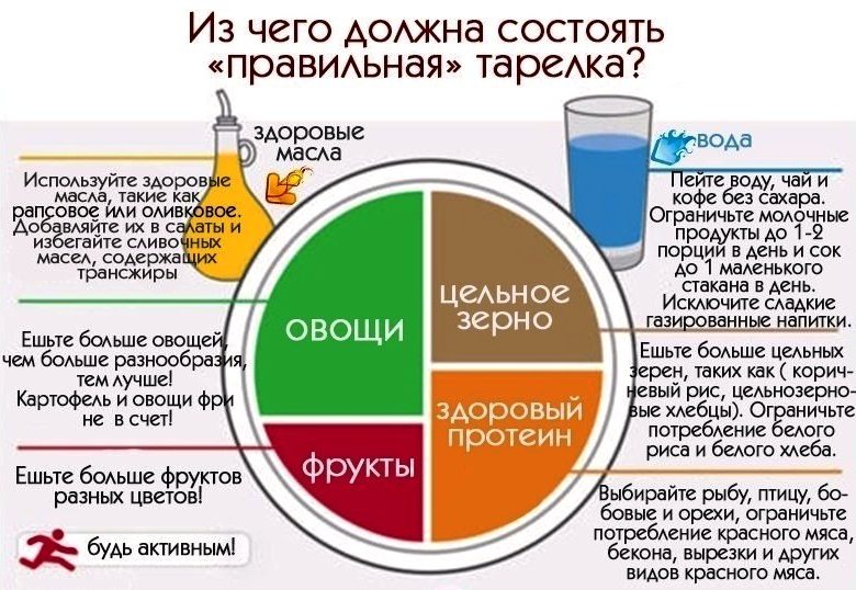 Продукты, составляющие основу сбалансированного (здорового) питания