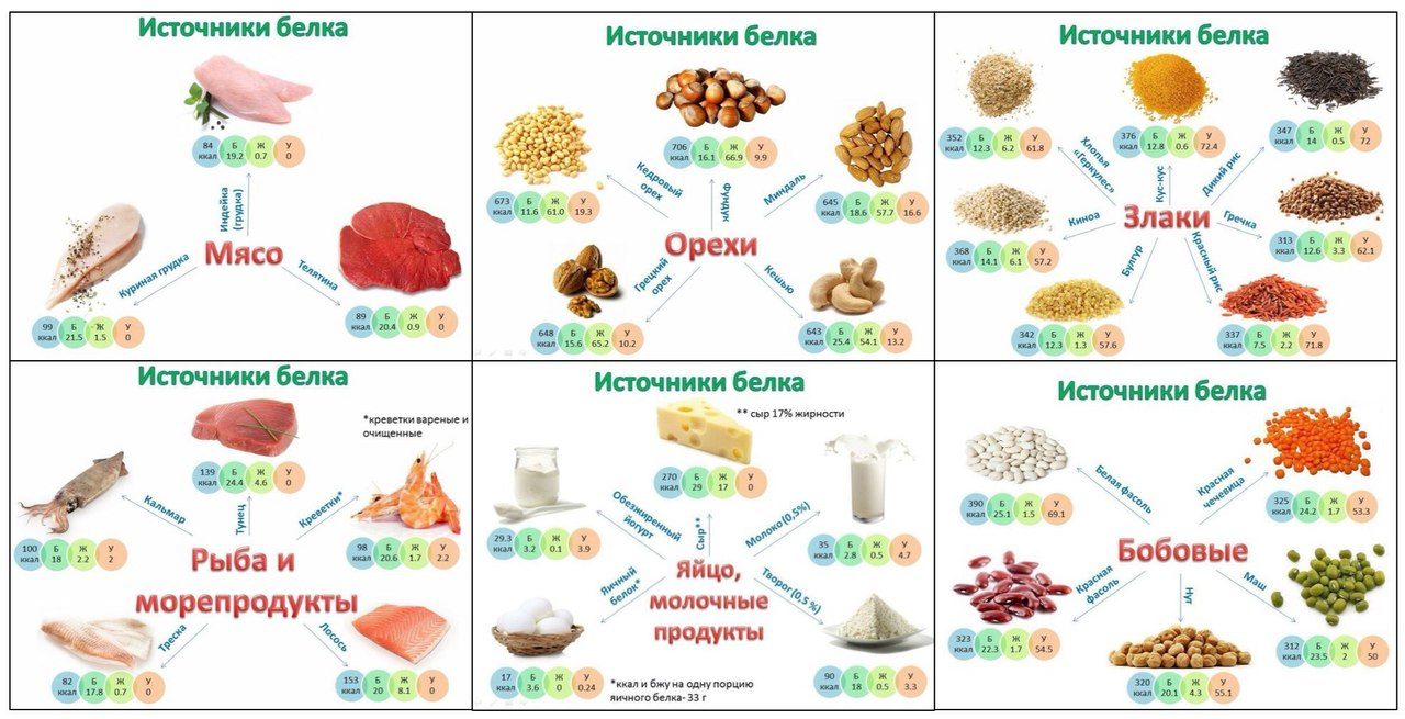 Продукты — источники белка
