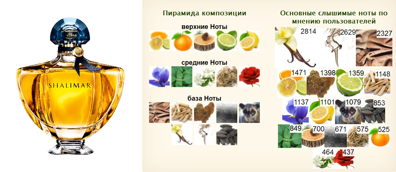Флакон shalimar от guerlain; официальная пирамида аромата, заявленная компанией-производителем; пирамида, определенная потребителями парфюма