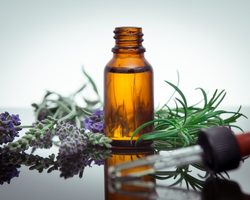Как применять масло розмарина? Польза и вред масла розмарина
