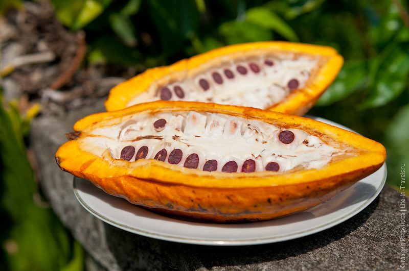 Какао