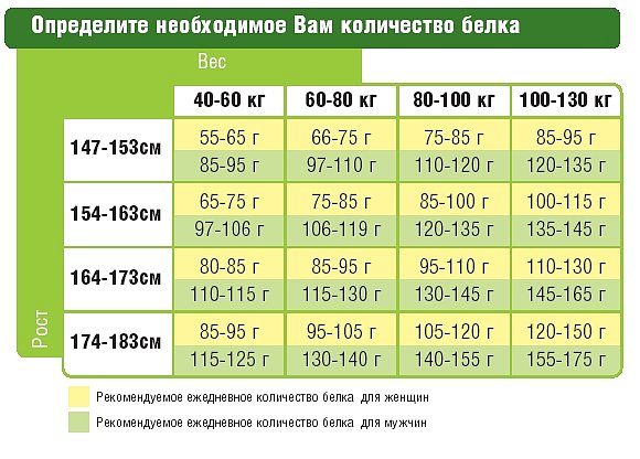 Суточная норма потребления белка для мужчин и женщин