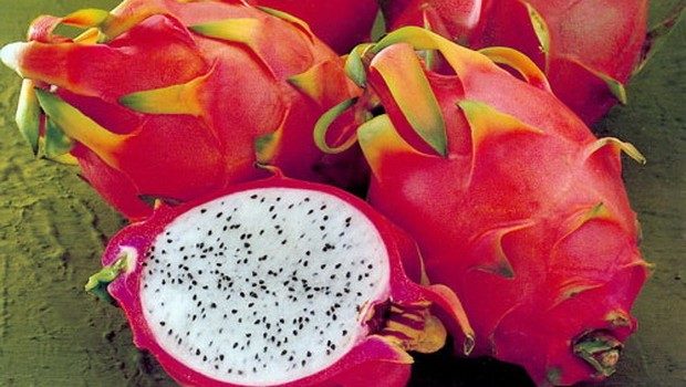 Питахайя