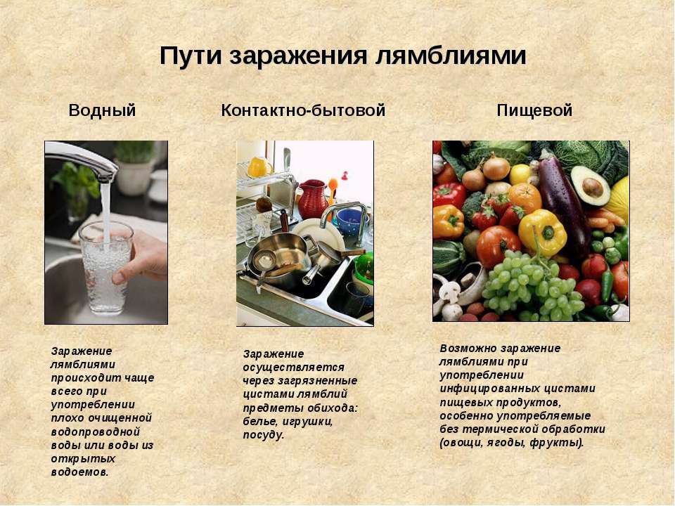 Пути заражения лямблиозом