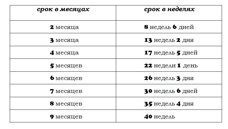 Календарь срока беременности по неделям