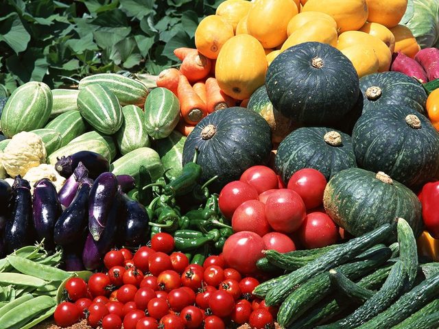 Лунный посевной календарь садовода и огородника Сибири на 2025 год: благоприятные и неблагоприятные лунные дни. Календарь посева семян, посадок рассады, овощей, корнеплодов и плодовых деревьев и кустарников для Сибири на 2025 год: таблица