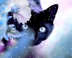 20 вещей, на которые нельзя смотреть. На что нельзя смотреть?