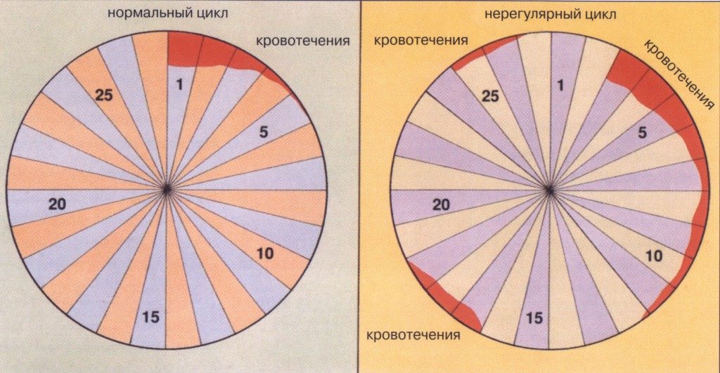 Нерегулярный цикл