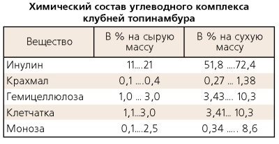 Топинамбур - естественный источник инсулина, он полезен диабетикам