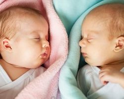 Как зачать и родить двойню? Как зачать двойню естественным путем?