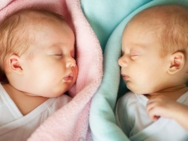 Как зачать и родить двойню? Как зачать двойню естественным путем?