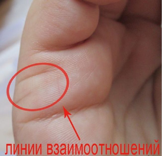 На фото: расположение линий привязанности на ребре правой руки