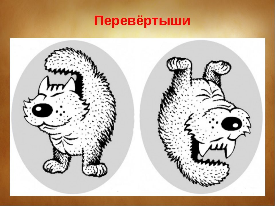 Анималистический перевертыш