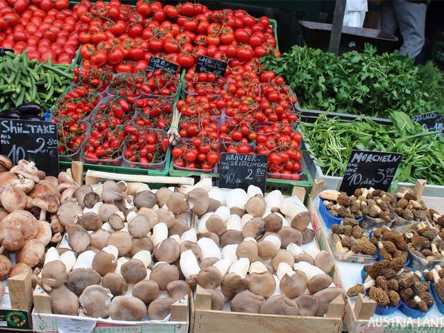 Что приготовить из грибов? Рецепты с грибами в духовке и горшочках
