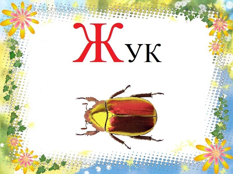 Буквы ассоциации
