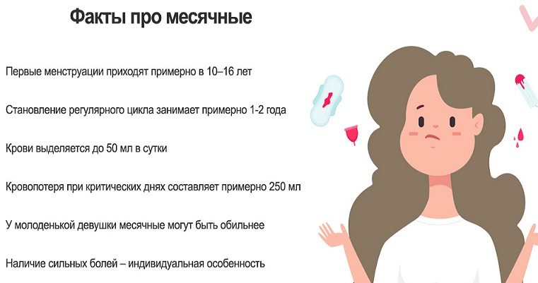 Факты про месячные