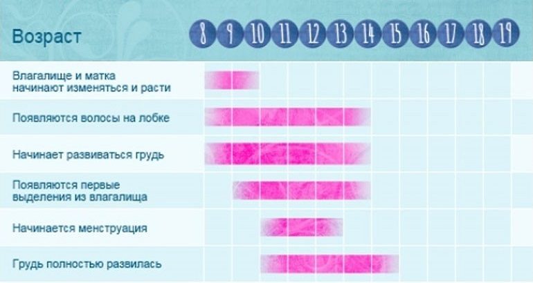Половое развитие девочки