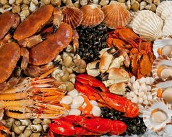 Калорийность мяса, рыбы и морепродуктов: таблица калорийности на 100 граммов
