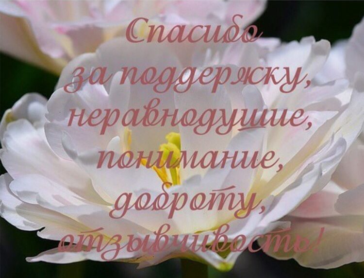 Слова благодарности за помощь и поддержку