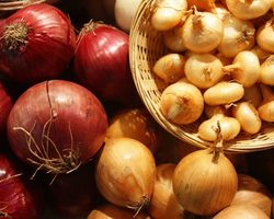 Народные рецепты с репчатым луком от фурункулов, нарывов, мозолей и трещин пятках, при травмах, растяжении связок
