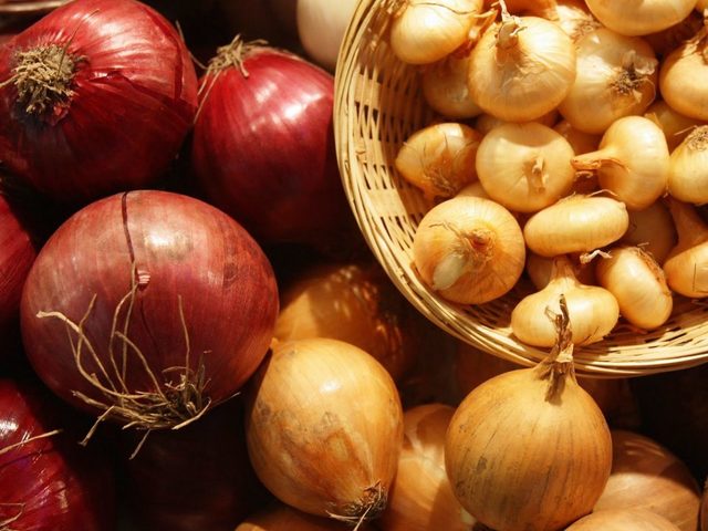 Народные рецепты с репчатым луком от фурункулов, нарывов, мозолей и трещин пятках, при травмах, растяжении связок