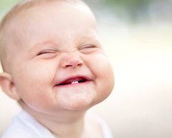 Детские самые смешные анекдоты: читать. Смешные анекдоты про Чебурашку и Гену, Вовочку, детей, животных, зверей, школу, детский сад
