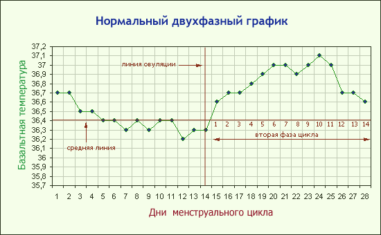 Нормальный график базальной температуры