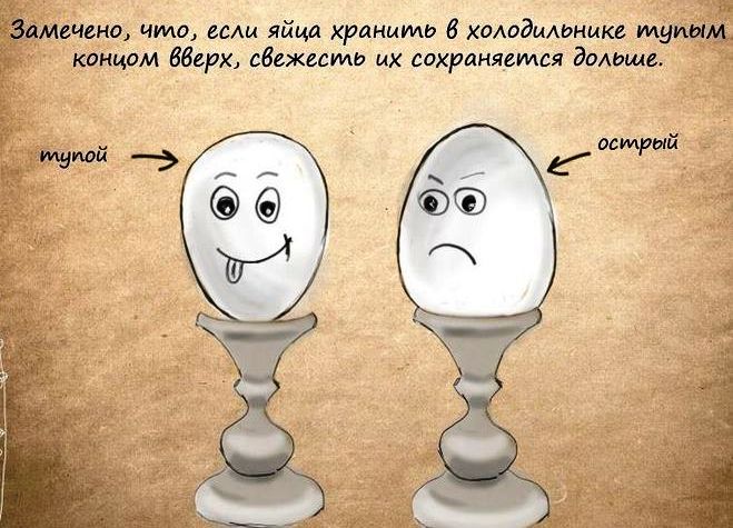 Как лучше укладывать яйца для хранения