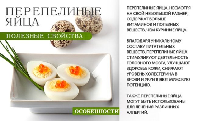 Полезные свойства перепелиных яиц