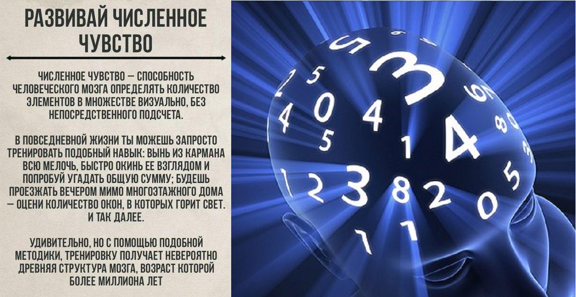 Как научиться визуально определять количество чего-, кого-либо