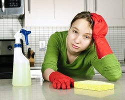Как избавиться от домашних блох самостоятельно? Лучшие средства от блох в квартире и доме