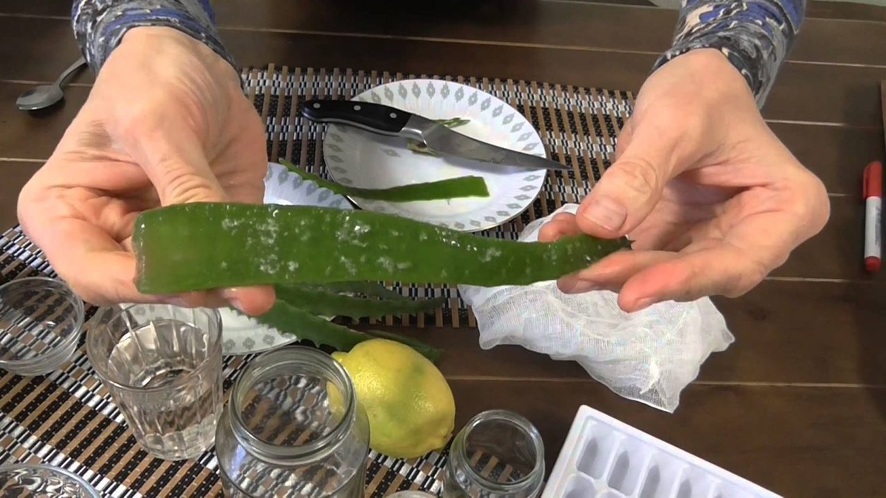 Маска для жирных волос с алоэ