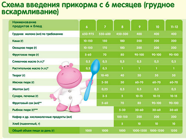 Меню прикорма в 6 месяцев при грудном вскармливании.
