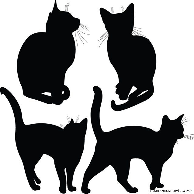 Шаблон коты