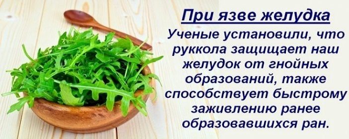 Руккола для здоровья