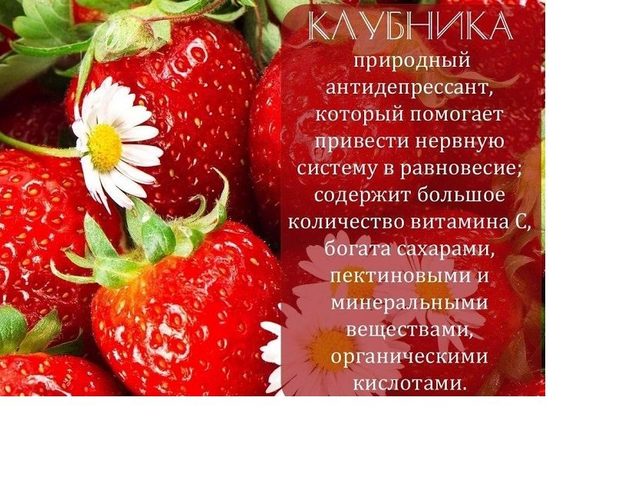 Ягоды клубники: польза для здоровья и похудения, вред, состав, витамины и микроэлементы, противопоказания к применению, рецепты применения в народной медицине. Польза листьев клубники: описание