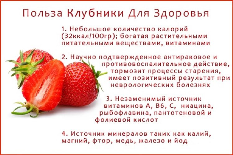Полезные свойства клубники
