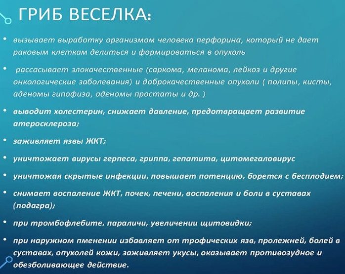 Лечебные свойства гриба веселка