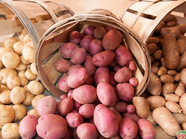 Посадка и выращивание картофеля под соломой или сеном, в мешках, в грунте, в бочках: технология и методы
