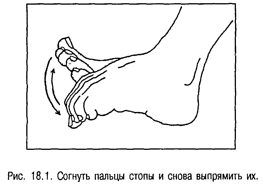 Гимнастика для стоп