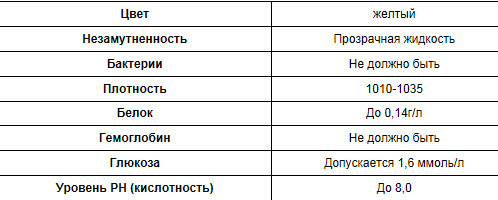Анализ на белок при беременности, норма