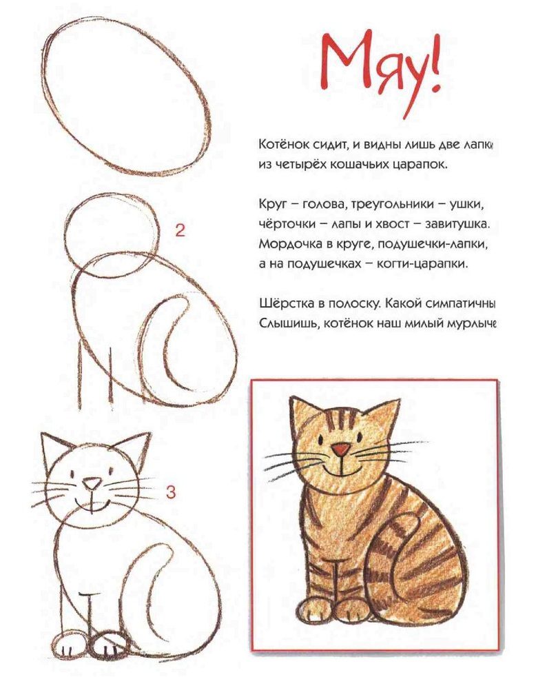 Поэтапное рисование сидящего котенка