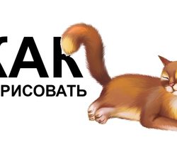 Как нарисовать кошку, котенка? Рисунки простым карандашом поэтапно для начинающих
