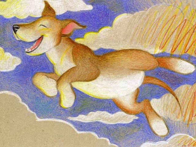 Как нарисовать собаку, щенка? Рисунки простым карандашом поэтапно для начинающих