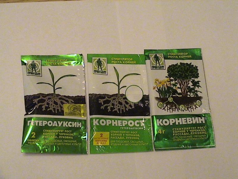 Окуните корни растения в стимулятор роста