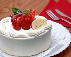 Торты с клубникой — желейный, шоколадный, простой быстрый, торт-суфле: лучшие рецепты