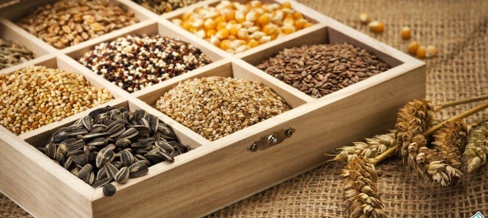 Семена разложены по отсекам в деревянной коробке для хранения